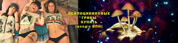 крисы Протвино