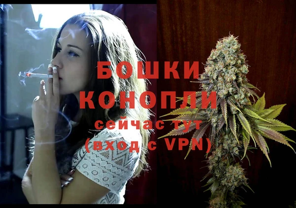 PSILOCYBIN Россошь