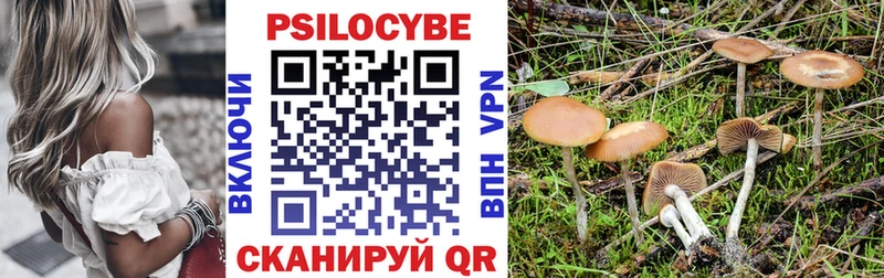 Галлюциногенные грибы GOLDEN TEACHER где найти наркотики мориарти клад Мончегорск